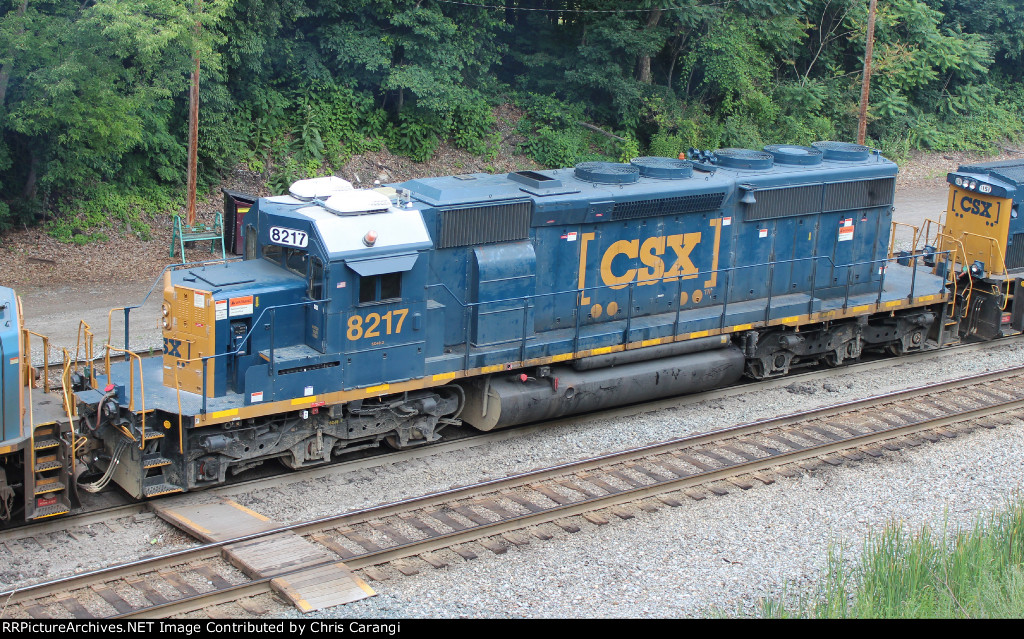 CSXT 8217